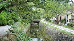 Philosopher's Path