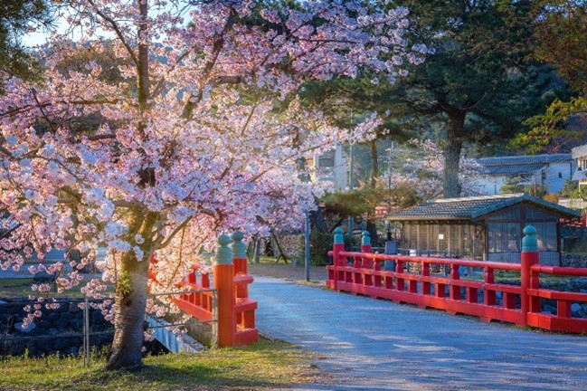 Uji Bridge